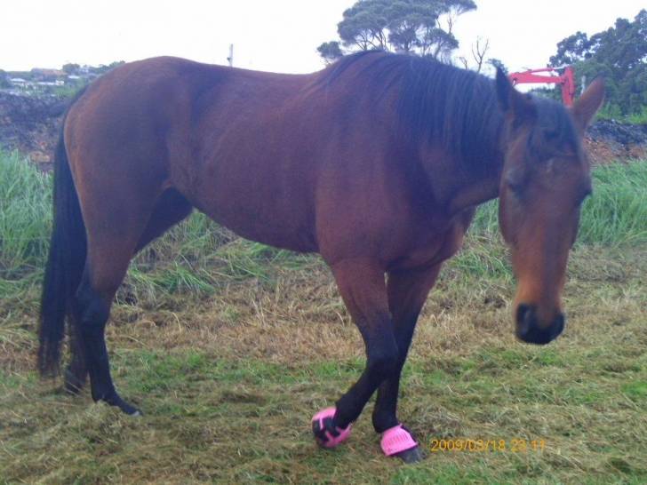 Davacious - (9 ans)