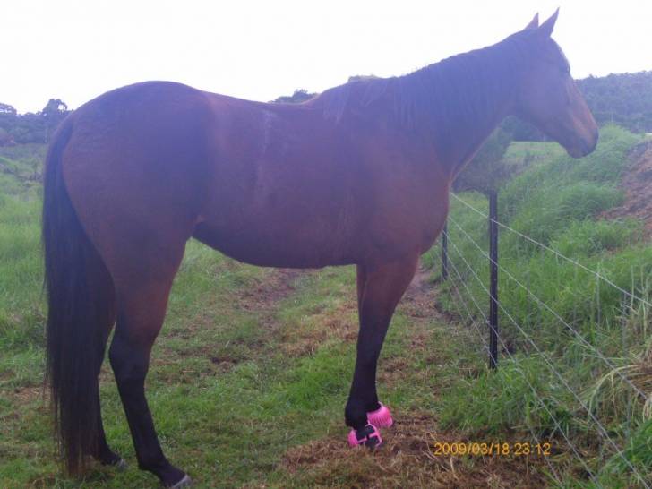 Davacious - (9 ans)