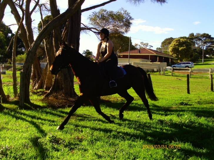 Davacious - (9 ans)