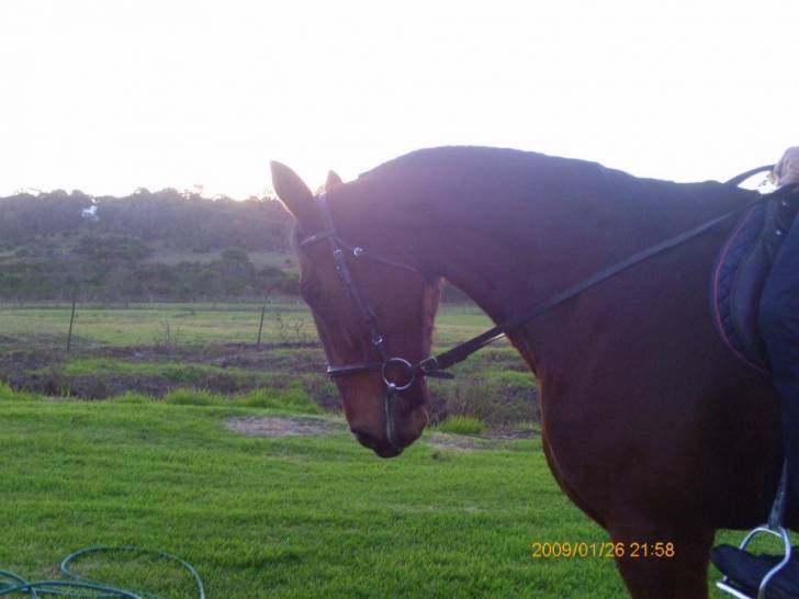Davacious - (9 ans)