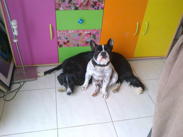 Georges et Léa - (3 ans)