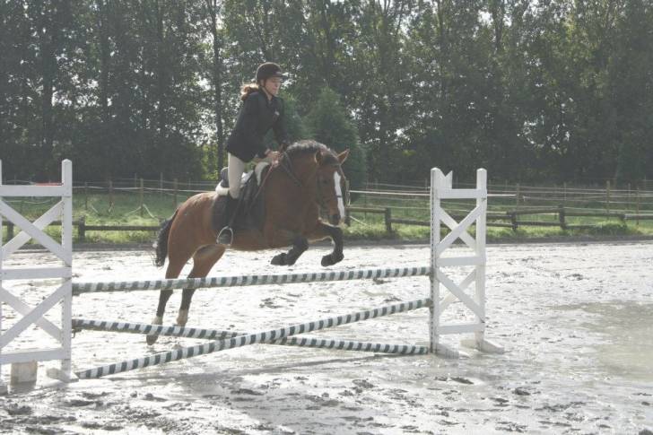 Manade - (8 ans)
