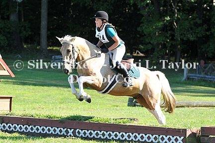 Amigo - Mâle (6 ans)
