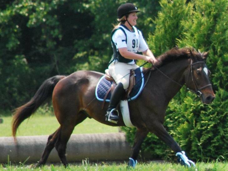 Harley - Mâle (7 ans)