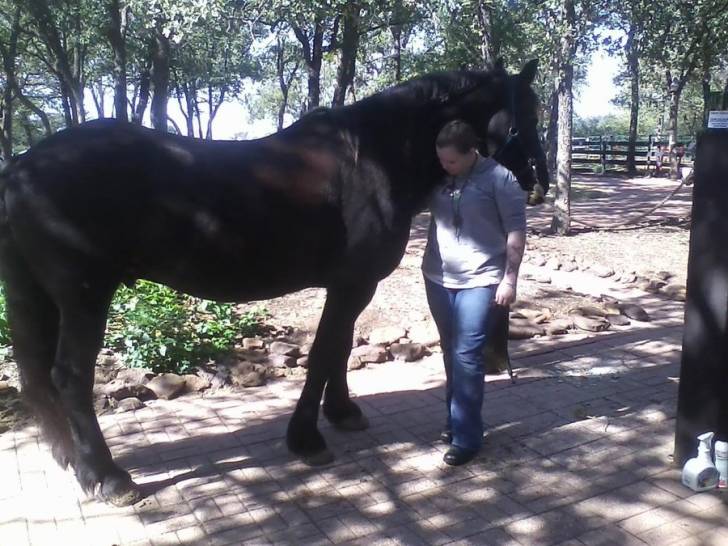 Zen - Mâle (4 ans)