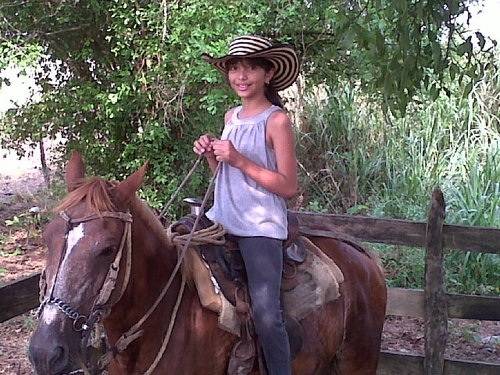 Poni - (10 mois)