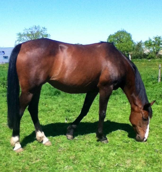 Marine du Clos - (13 ans)