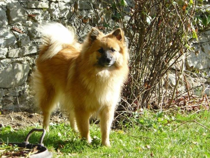 Louna - (3 ans)