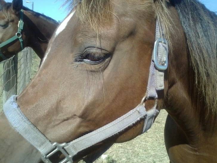 My Baby Girl - (8 ans)
