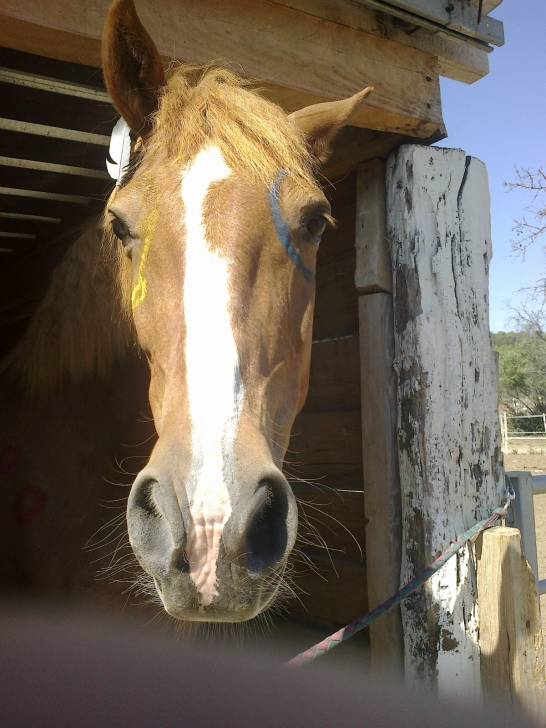 osiris - (14 ans)