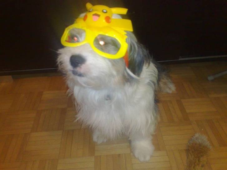 Choupette - (3 ans)