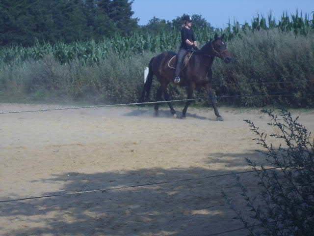 Faye - (7 ans)