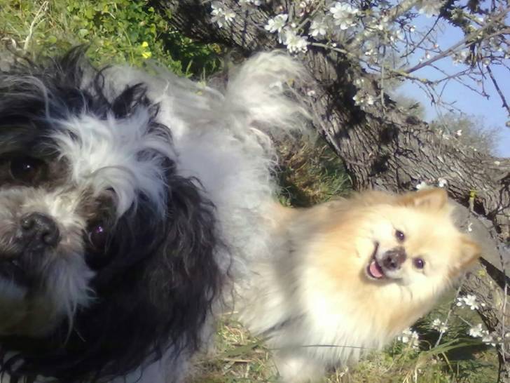 Jackey y Xena - (6 ans)