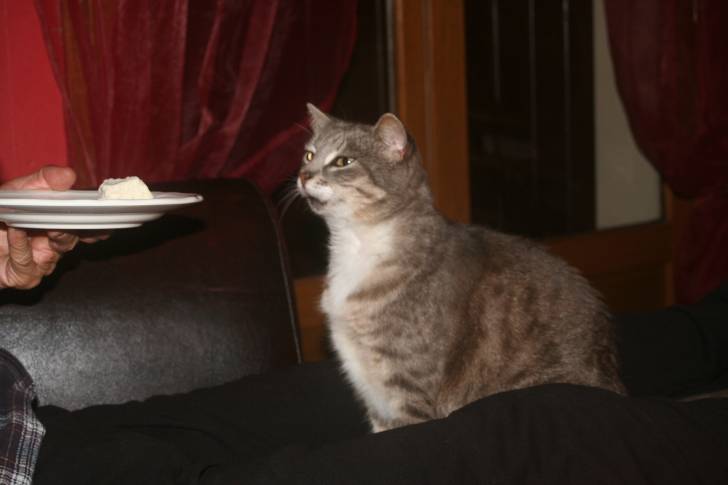 Mirana - (7 ans)