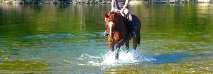 perle - (9 ans)