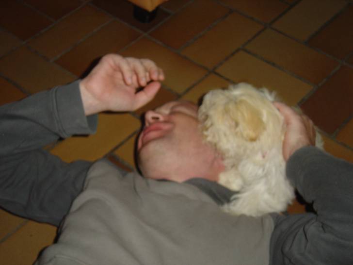 clochette - Femelle (1 an)