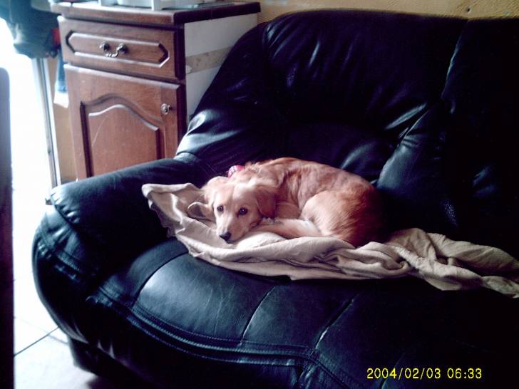 princess - (10 ans)