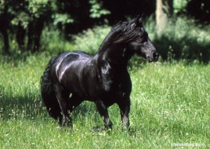 belle - (4 ans)