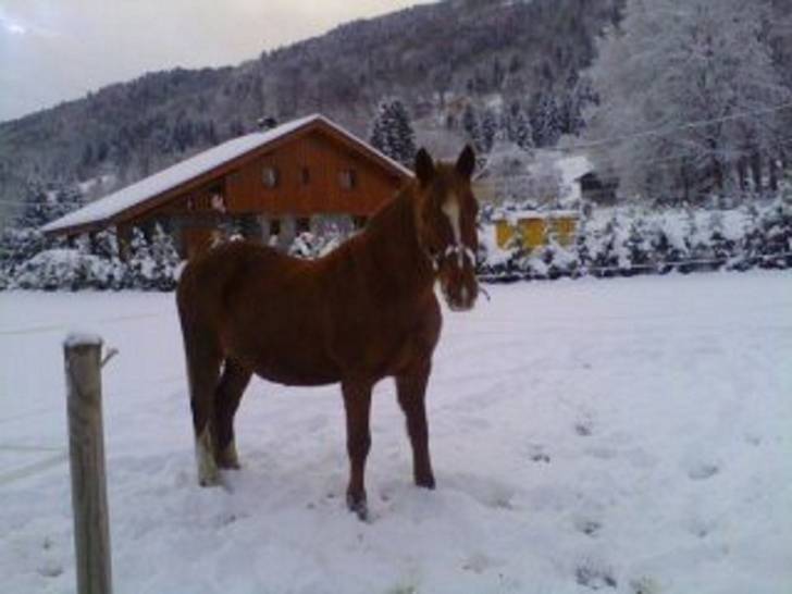 sybelle - (24 ans)