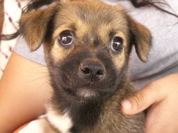 Bonita - (3 mois)