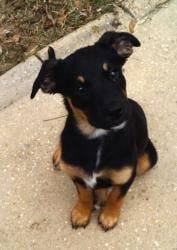 Twynette -