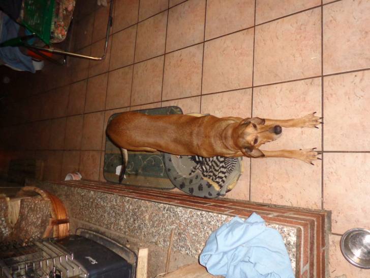 Zara - (5 ans)