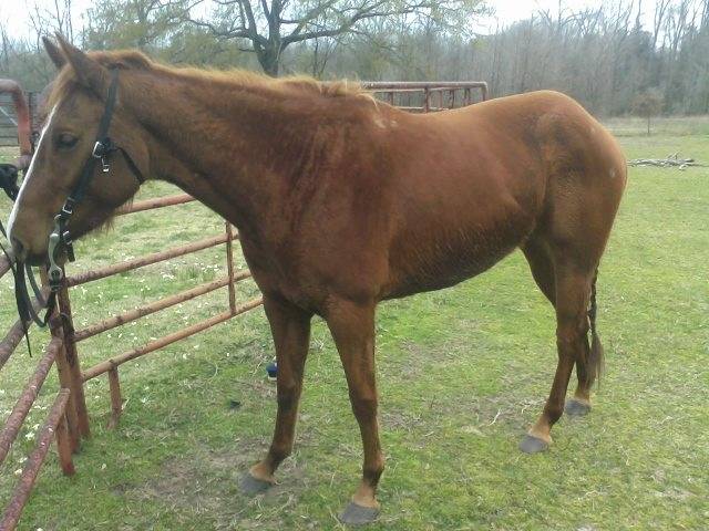 Heather Bloom - (4 ans)