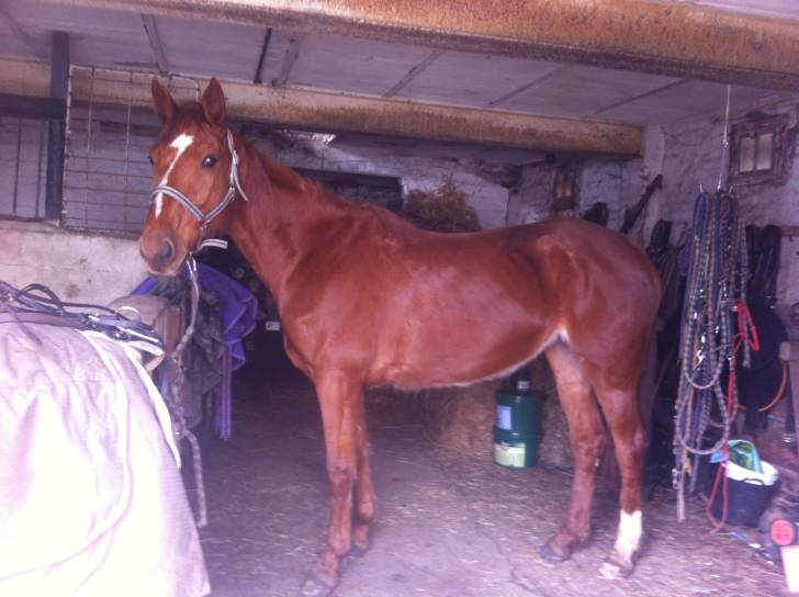 taxe ardechoise - (6 ans)