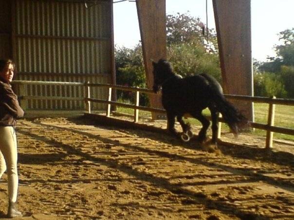 Saga - (6 ans)