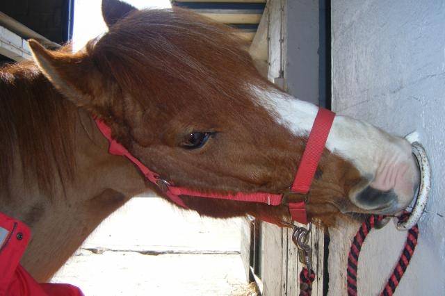 eclype - (6 ans)