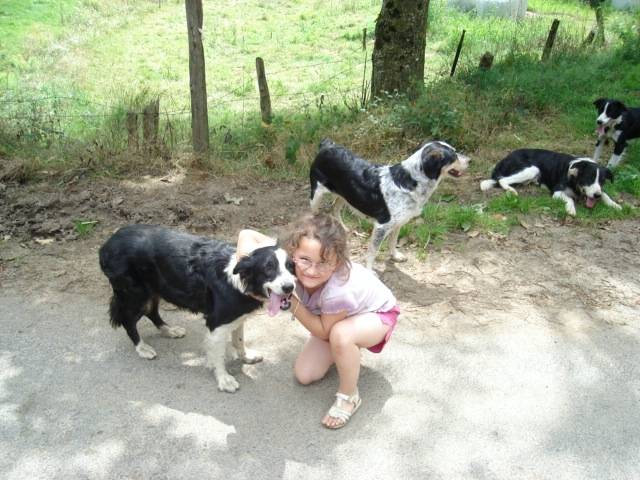 moi est les chien quand j'aiter petite -