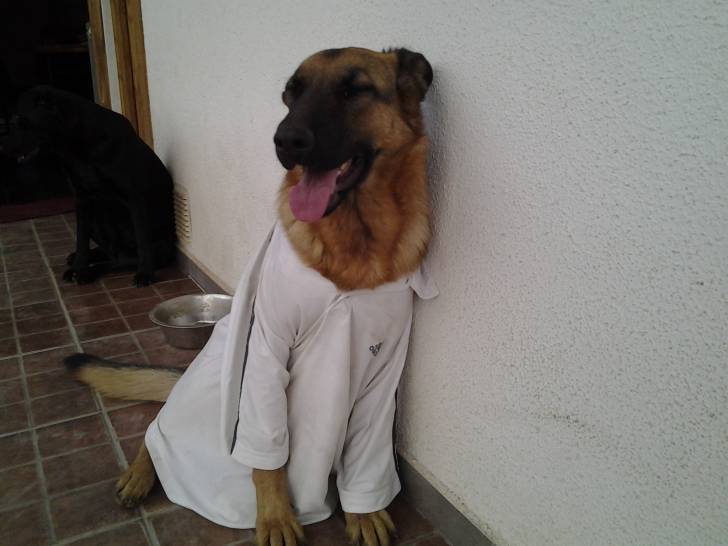 dulce con la polera de papa ja - (1 an)