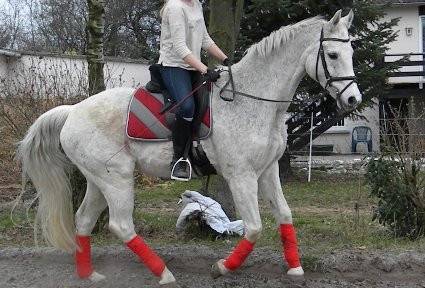 Sarina - (21 ans)