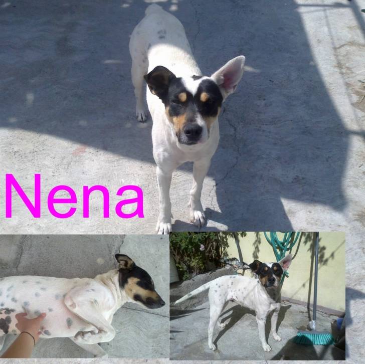 Nena - (1 an)
