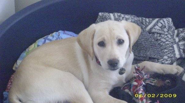 Daisy - (4 ans)