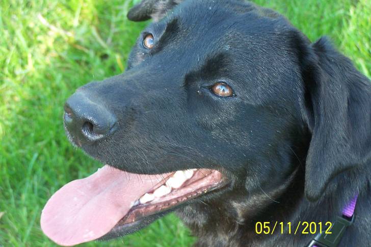 Maddie - (2 ans)