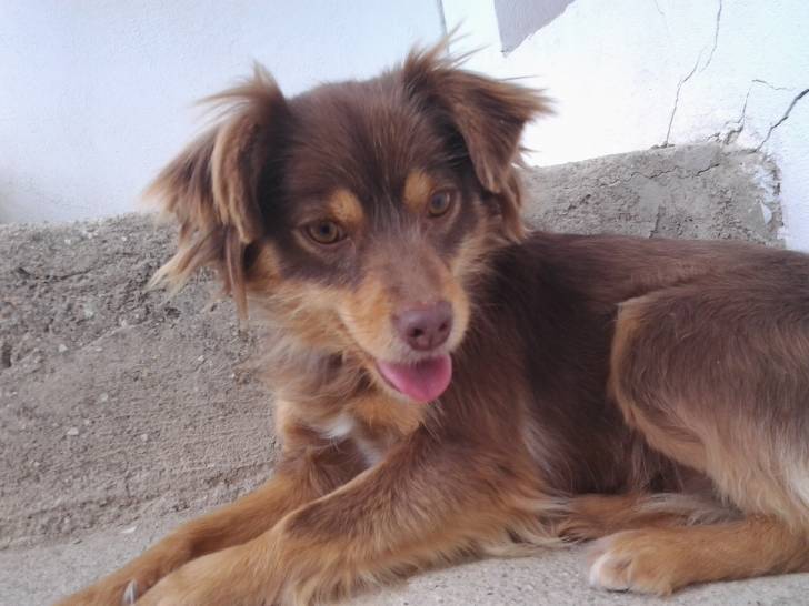 Tana - (2 ans)