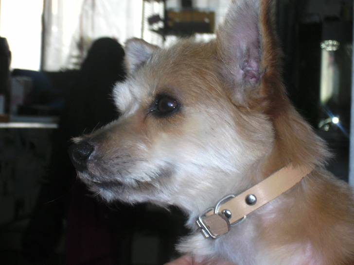 poupette - (4 ans)