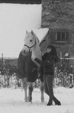 sharme au pré - Mâle (7 ans)