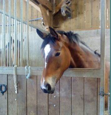 Promise - (4 ans)