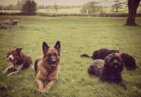 Oakley And Friends -