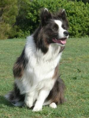 Noemi - (2 ans)