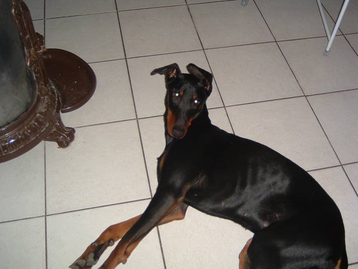 BORA - (3 ans)