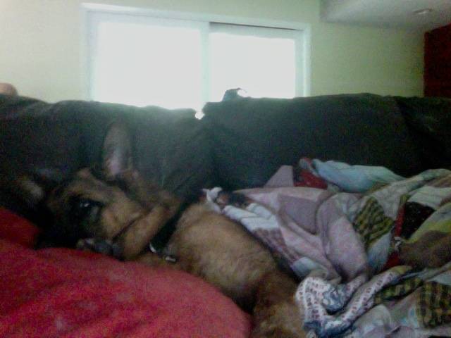 sleeping like a human -