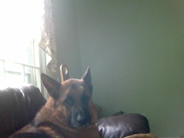 my best friend! -