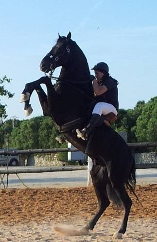 Saturno - Mâle (10 ans)