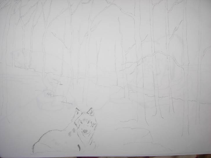 disegno fatto da me - Mâle (2 ans)
