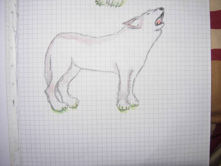 disegno fatto da me - Mâle (3 ans)