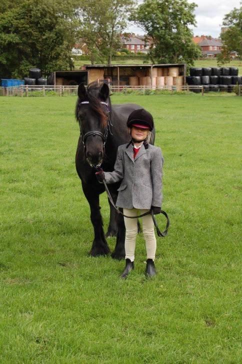 Dali - Mâle (6 ans)
