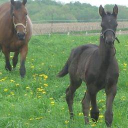 Nicki Newton & Shadow Newton - (14 ans)